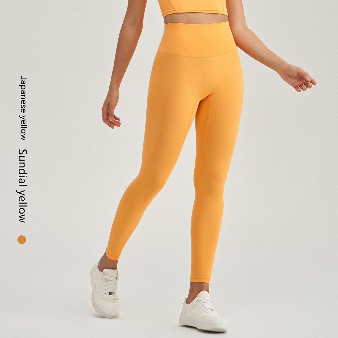 CurvaFlex Plus Size Fitness Leggings